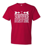 I Survived 100 Days of School Shirt | Baseball Raglan Tee | I Survived 100 Days of School
